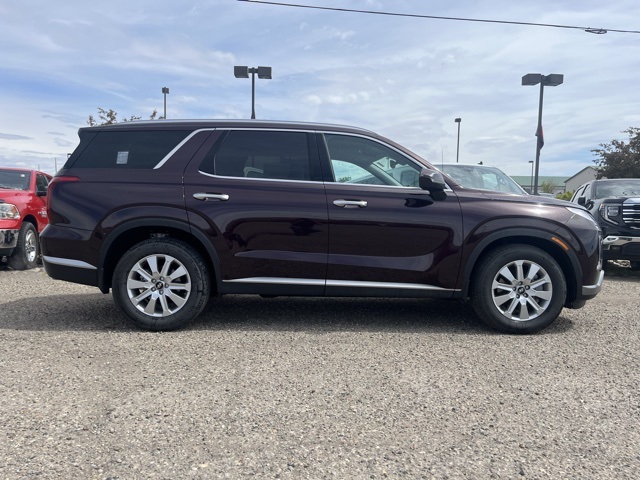 2025 Hyundai Palisade SEL photo 4