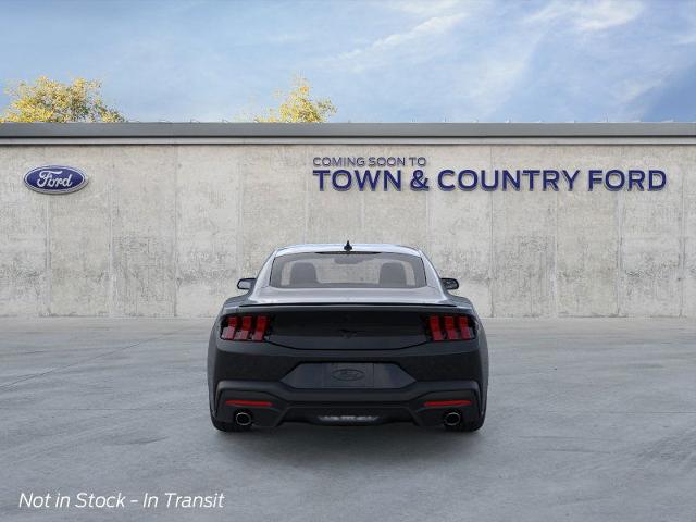 2025 Ford Mustang EcoBoost photo 15