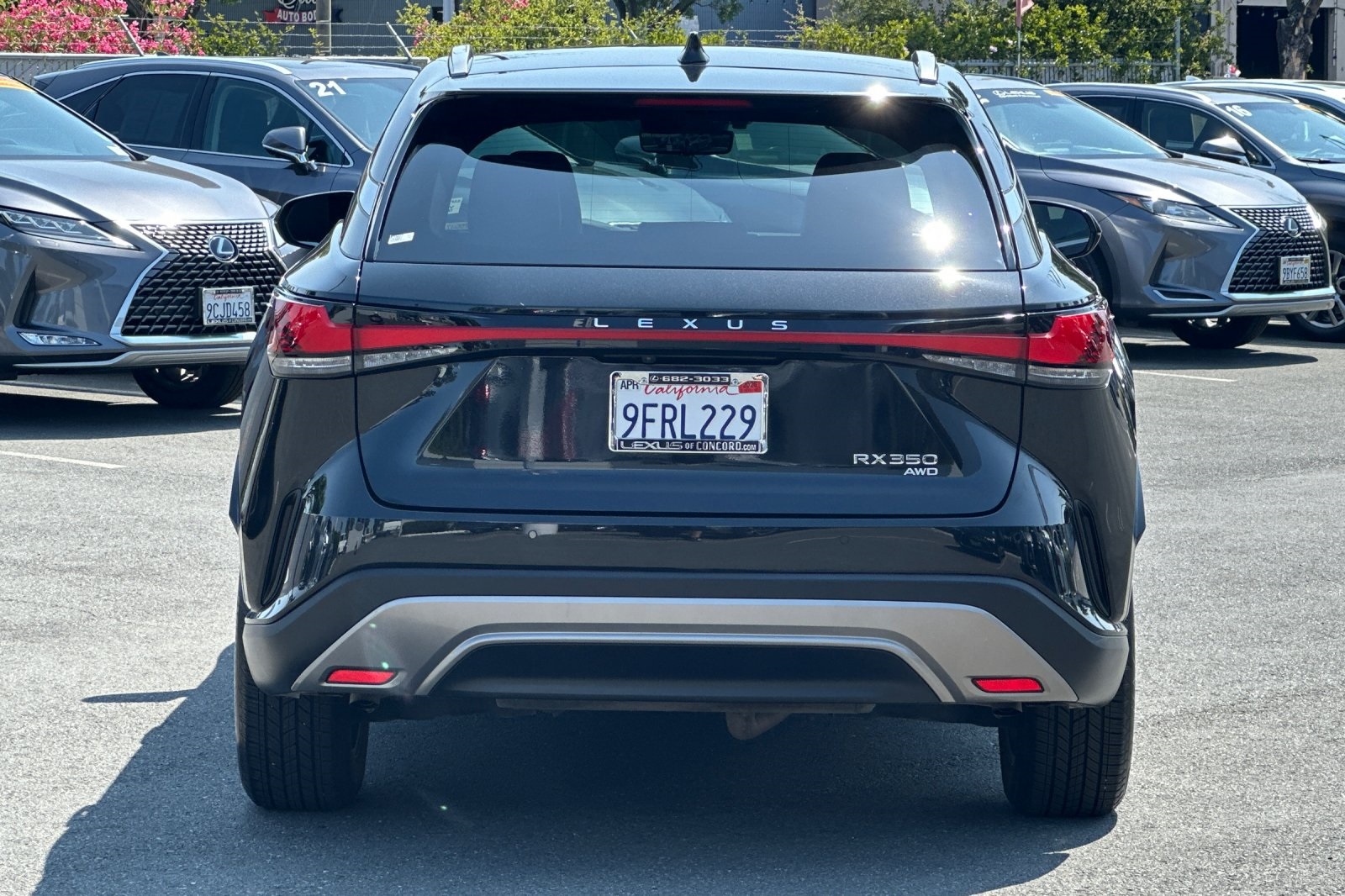 2023 Lexus RX 350 Premium photo 3