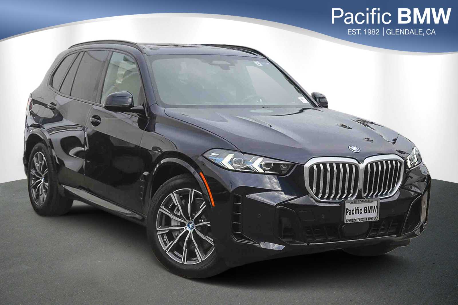 2025 BMW X5 50e's photo