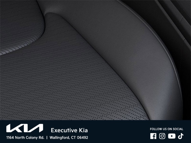 2025 Kia Carnival SX Prestige photo 21