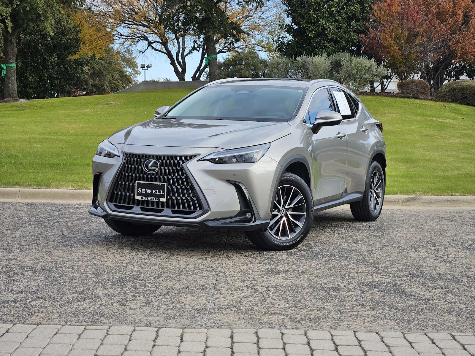 2024 Lexus NX 250's photo