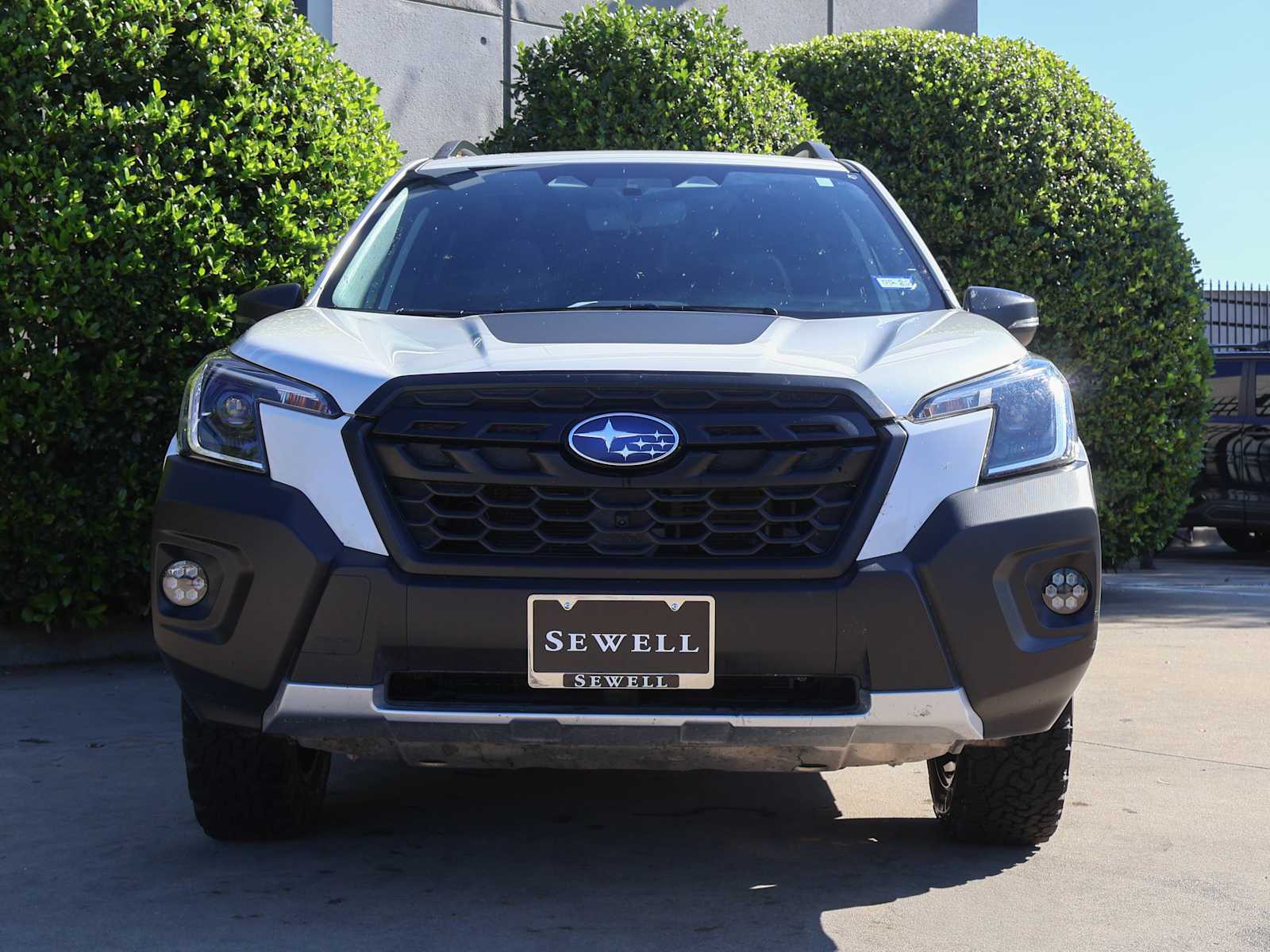 2024 Subaru Forester Wilderness photo 2