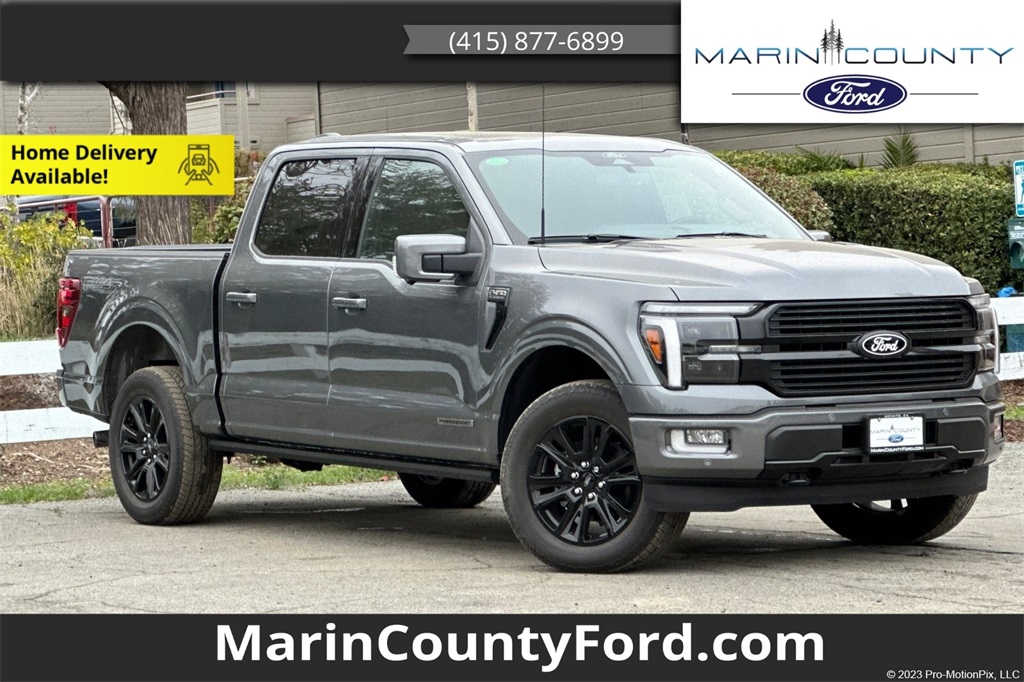 2025 Ford F-150 Platinum's photo