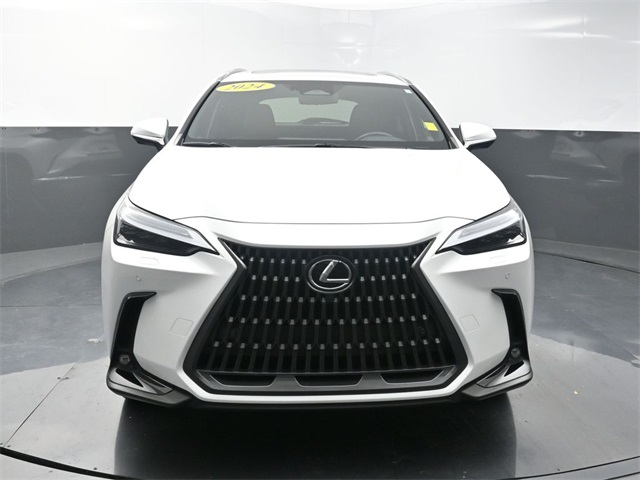 2024 Lexus NX 450h+ Luxury AWD photo 2