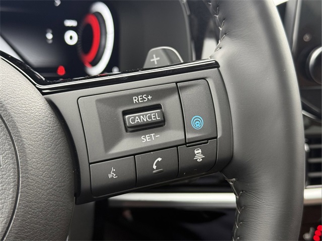 2025 Nissan Pathfinder Platinum photo 14