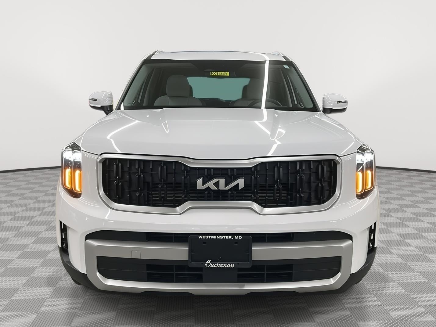 2025 Kia Telluride EX photo 2