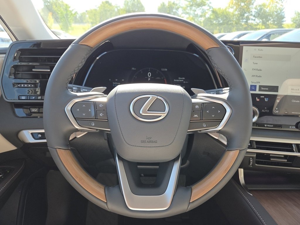 2025 Lexus RX 350 Luxury photo 28