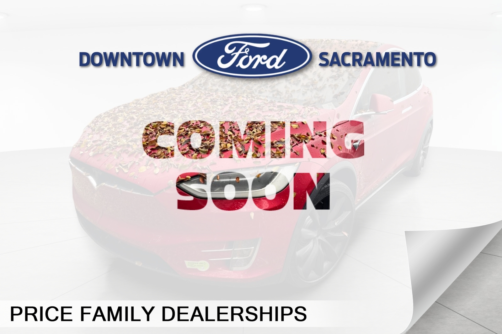 2017 Tesla Model X P100D's photo