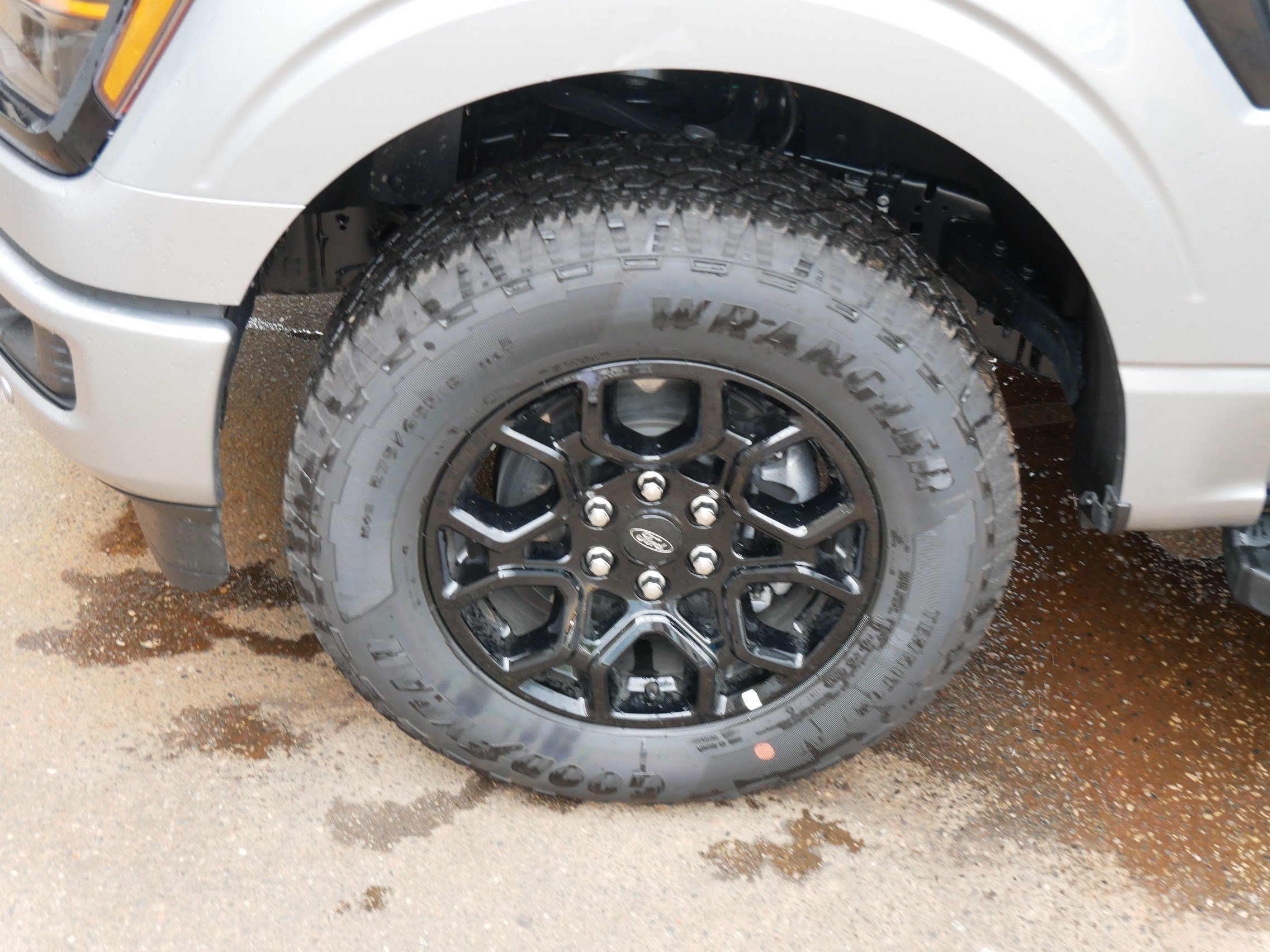 2024 Ford F-150 XLT photo 15