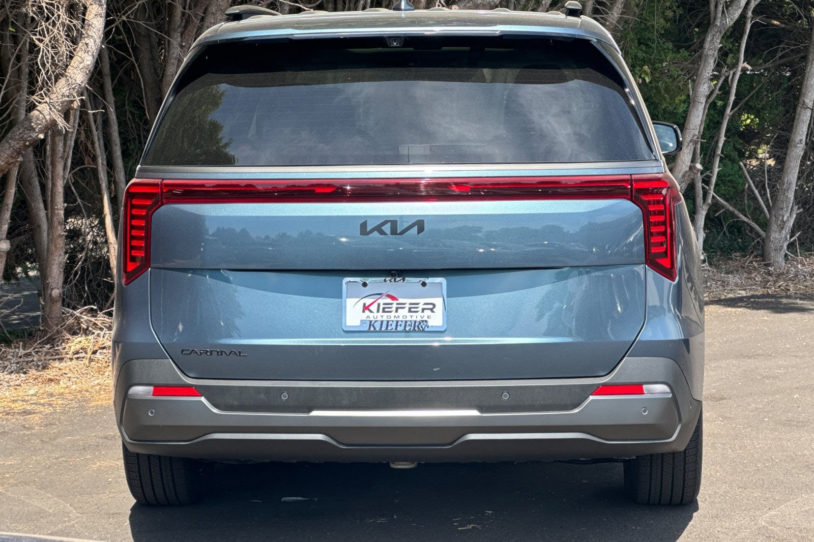 2026 Kia Carnival SX Prestige photo 4