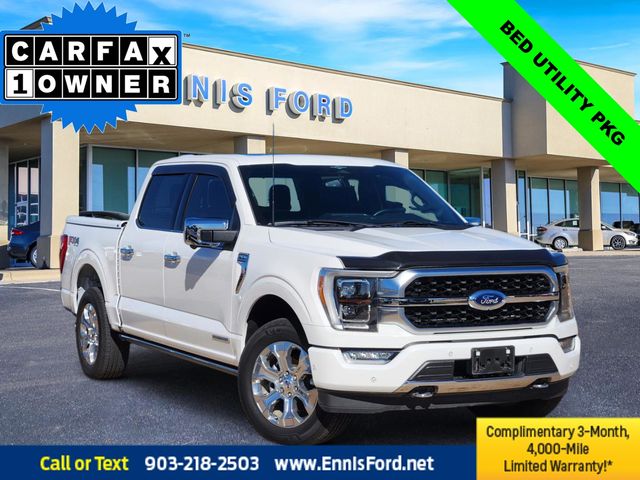 2023 Ford F-150 Platinum's photo