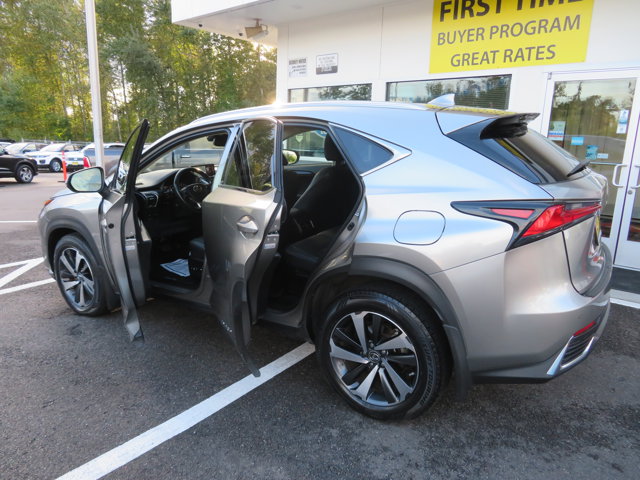 2020 Lexus NX 300h Premium photo 8