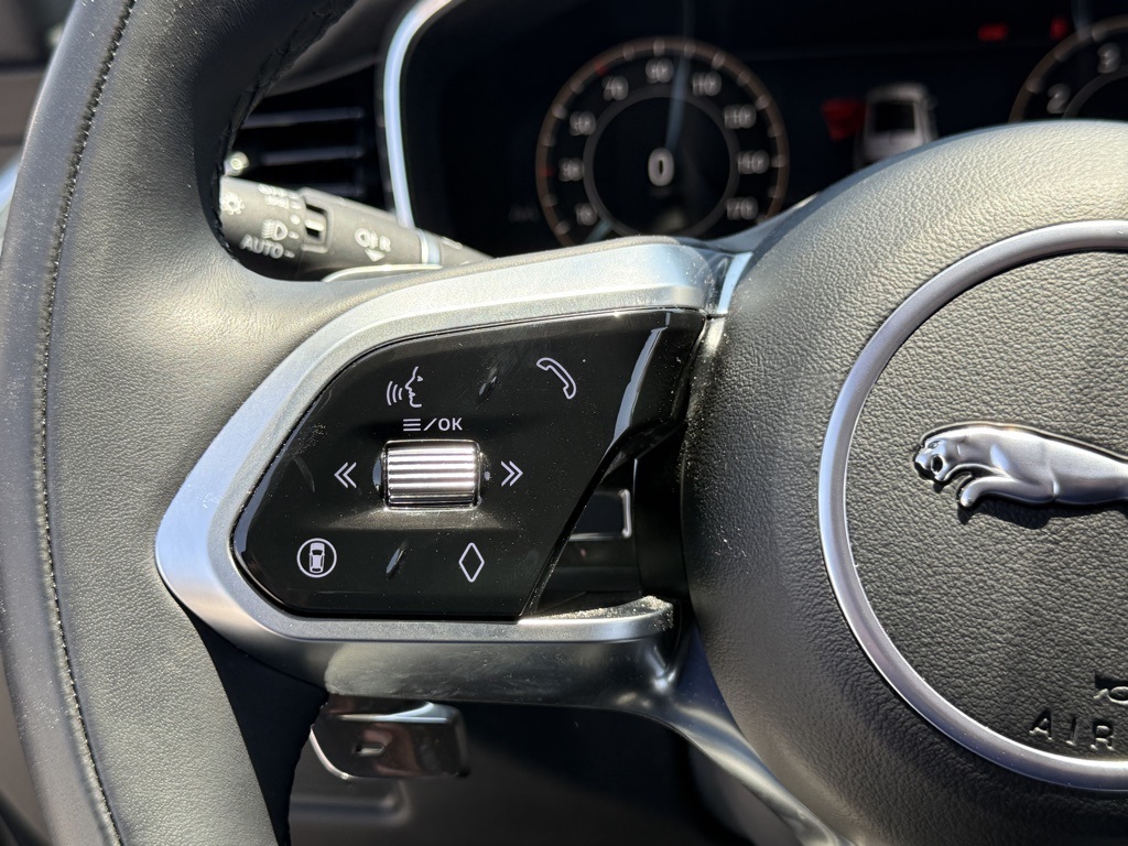 2025 Jaguar F-PACE P250 photo 16