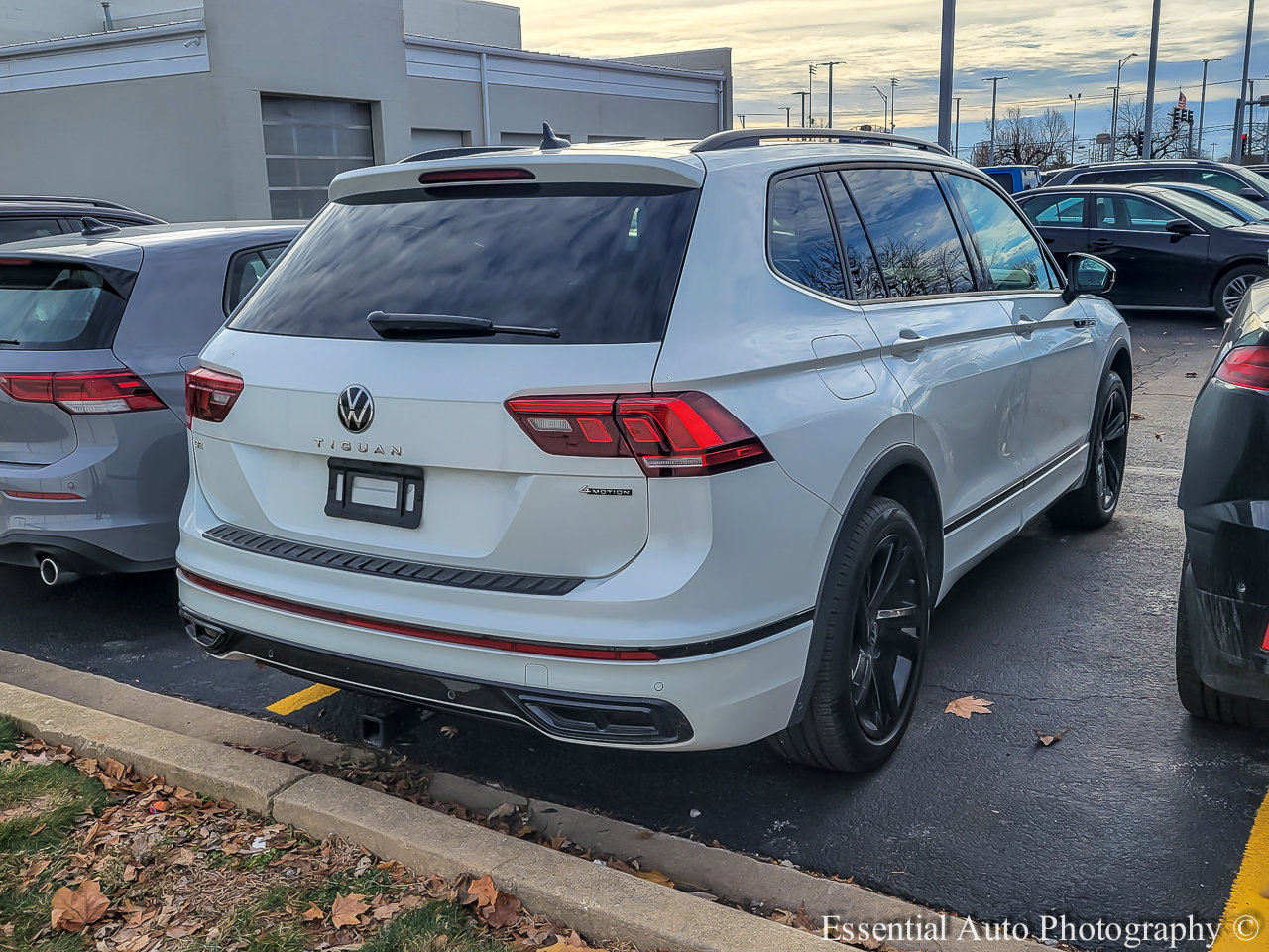2024 VOLKSWAGEN TIGUAN - Image 2