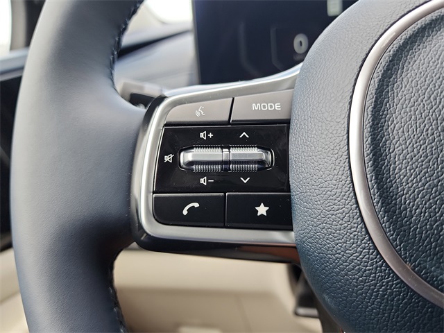 2026 Kia Carnival SX Prestige photo 23