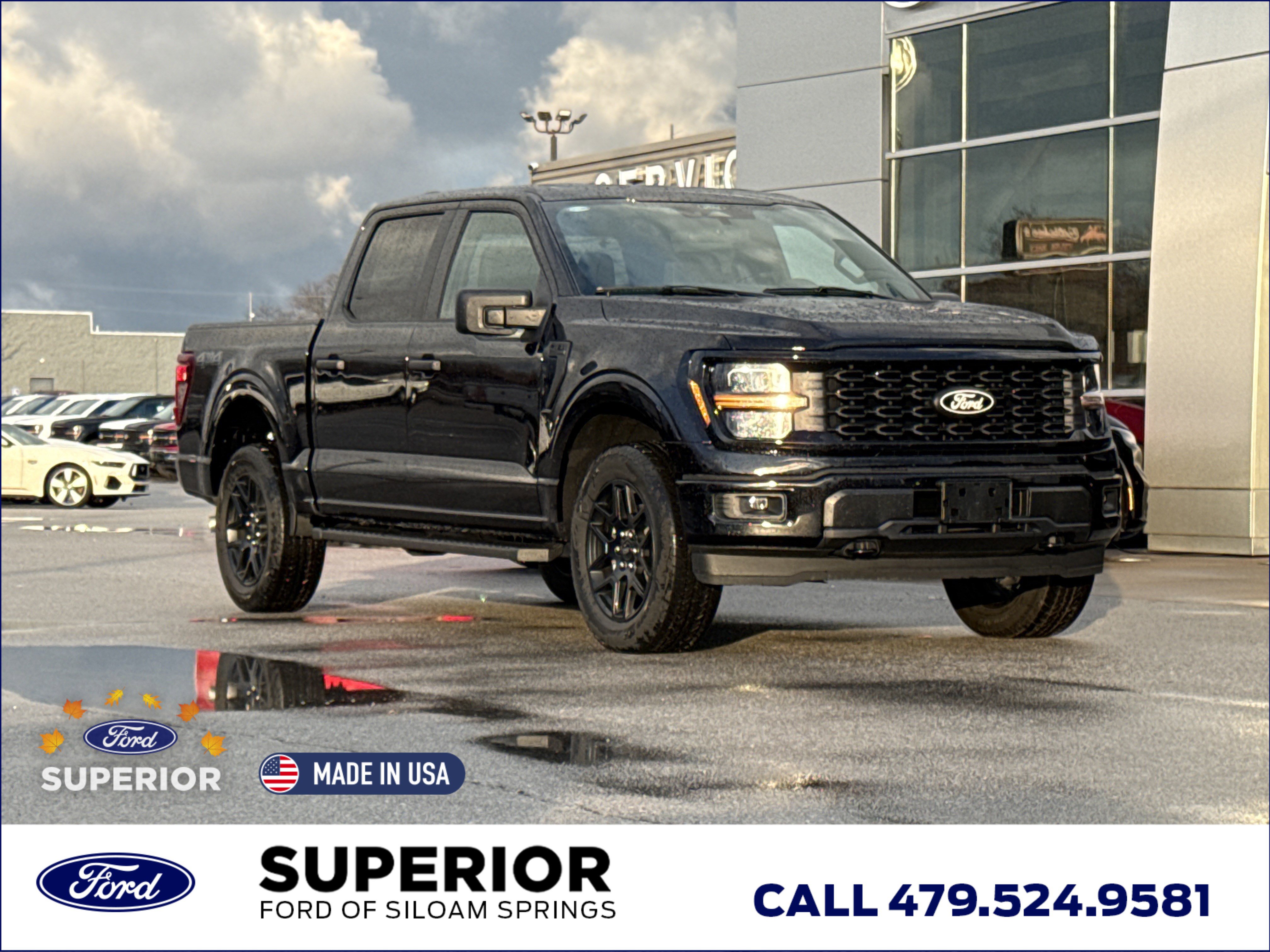 2025 Ford F-150 STX's photo