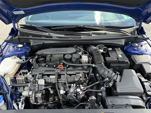 2023 Hyundai Elantra N Line photo 13