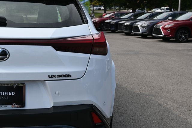 2025 Lexus UX F SPORT Design photo 7