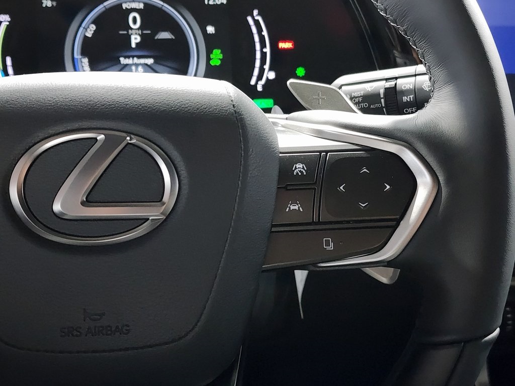 2025 Lexus RX 450h+ Luxury photo 16