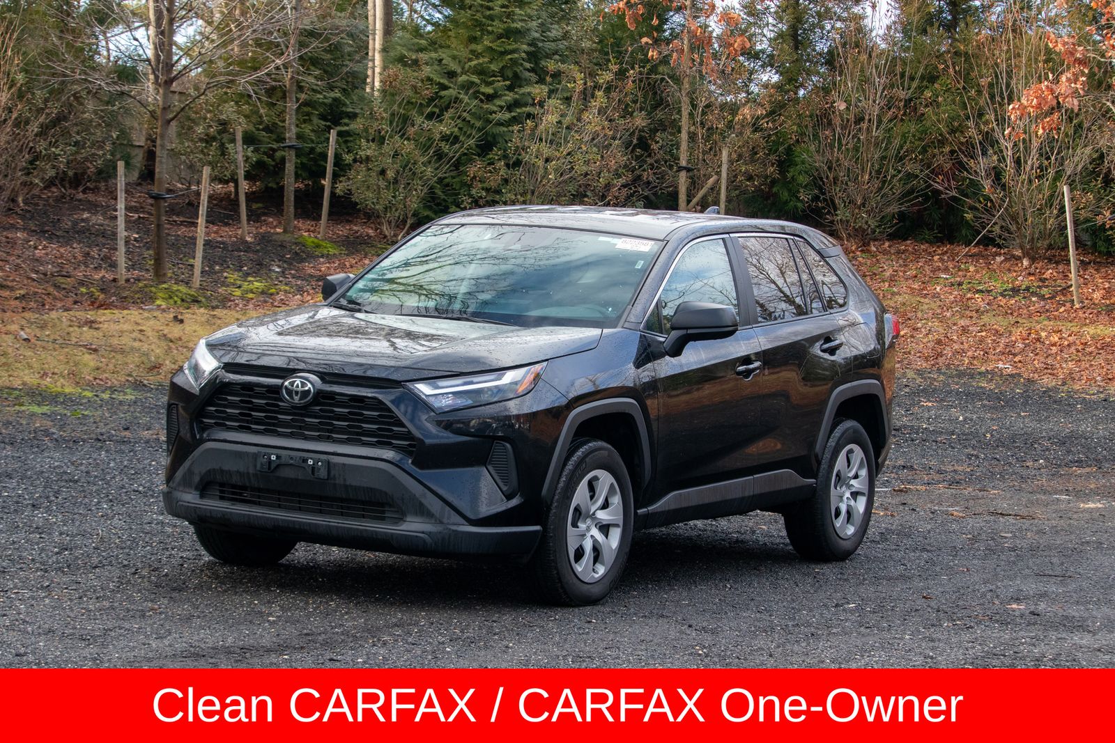 2024 Toyota RAV4 LE's photo