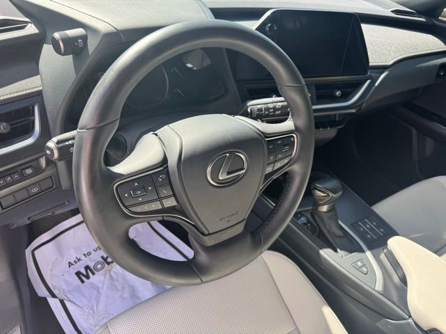 2024 Lexus UX 250h F SPORT Design photo 12