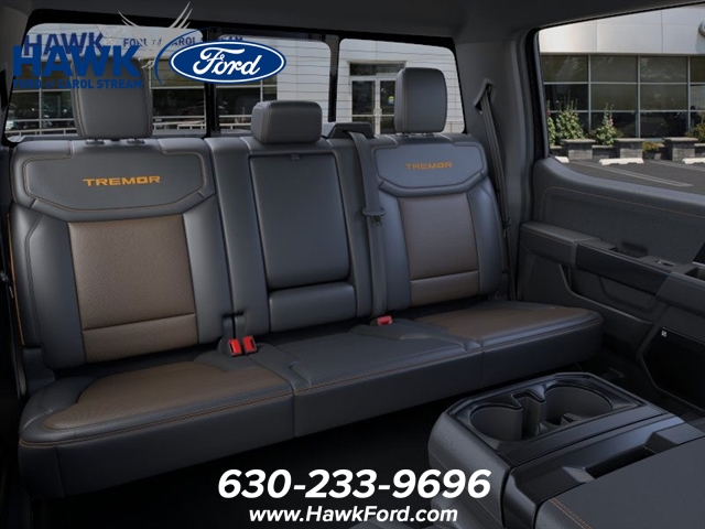 2025 FORD F-150 - Image 11