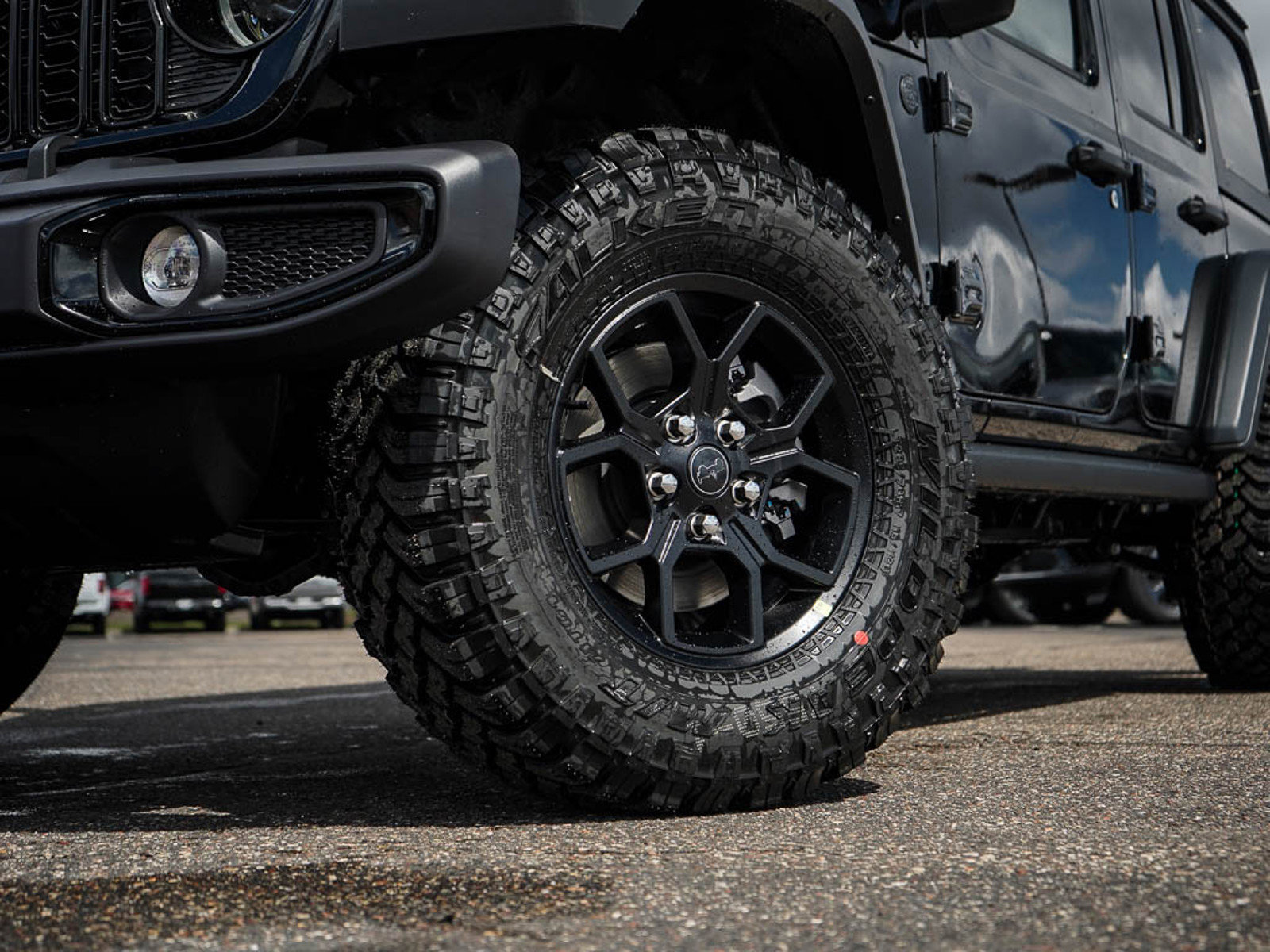 2025 Jeep Wrangler Willys photo 4