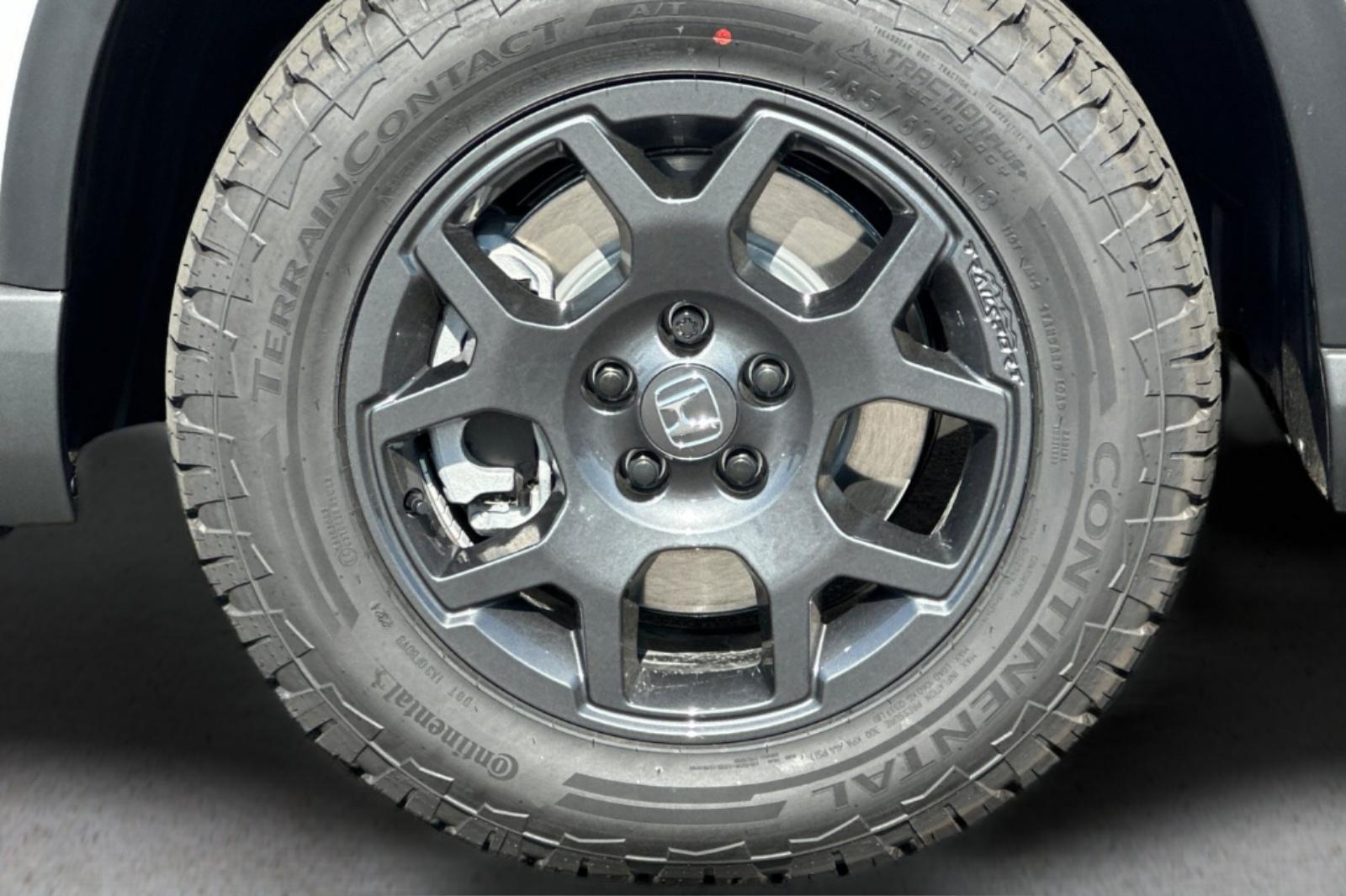 2025 Honda Pilot TrailSport photo 25