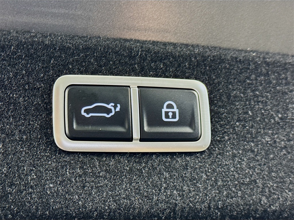 2023 Genesis Electrified G80 photo 19