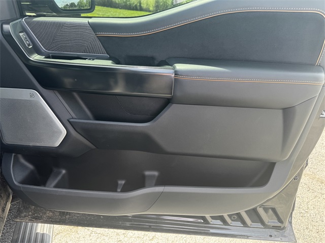 2021 Ford F-150 Platinum photo 12