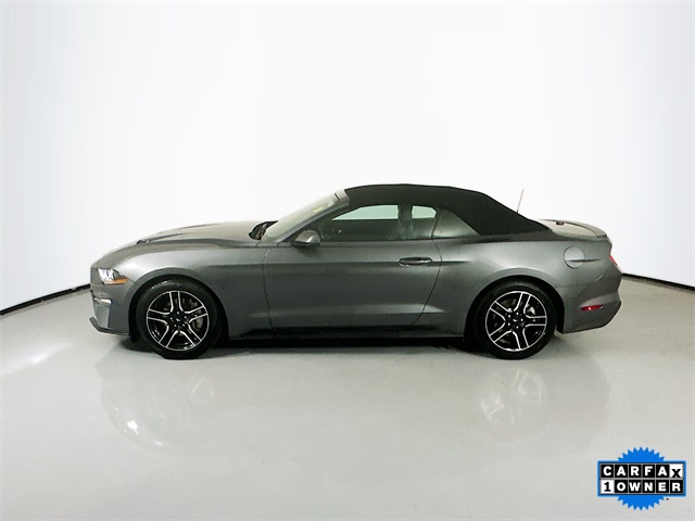 2023 Ford Mustang EcoBoost Premium photo 5
