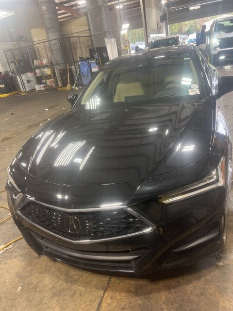 2023 Acura TLX Advance Package's photo