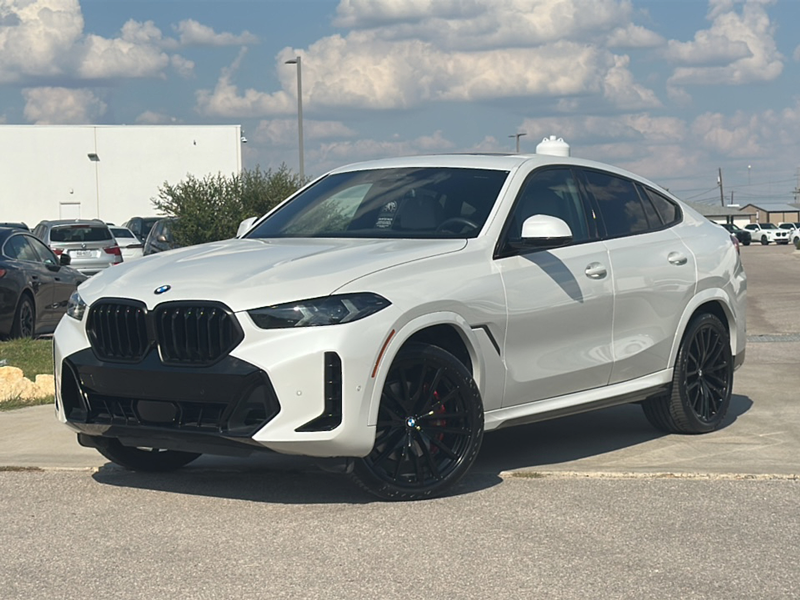2024 Bmw X6 xDrive40i photo 2