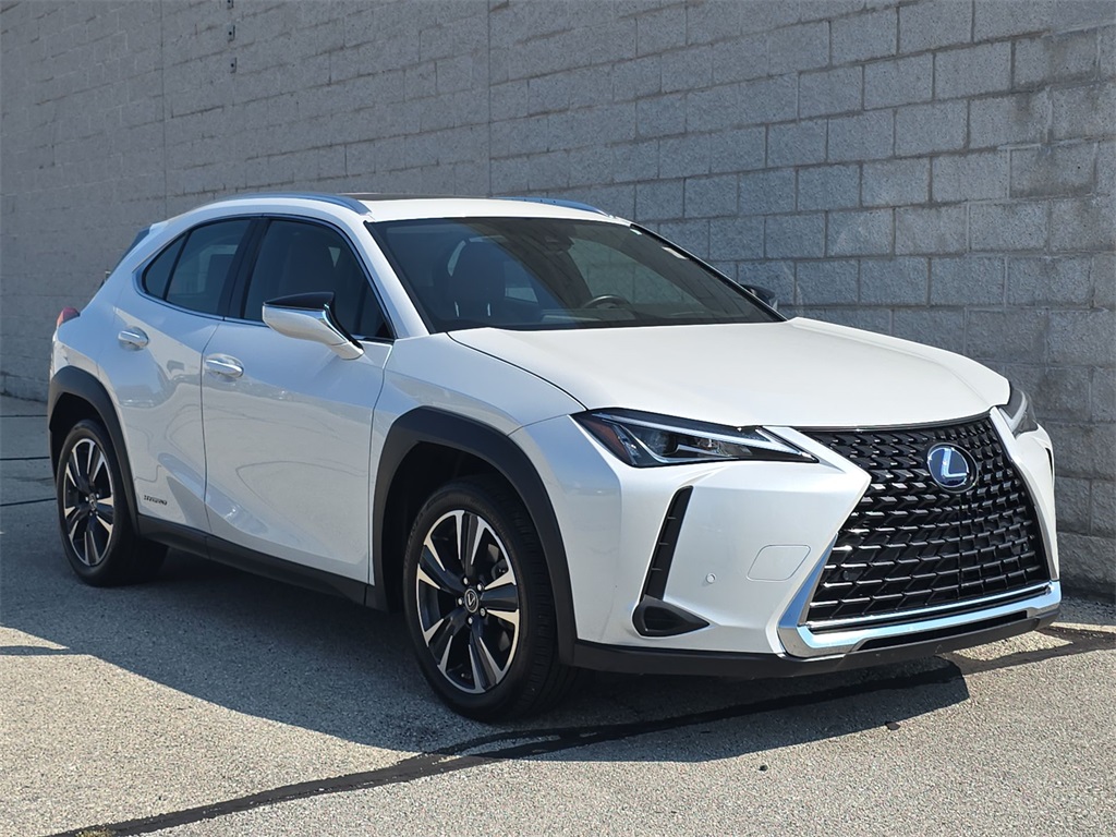 2022 Lexus UX 250h photo 14
