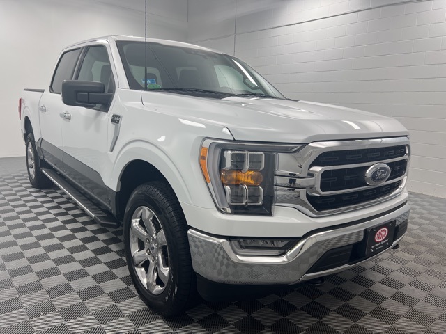 2023 Ford F-150 XLT's photo