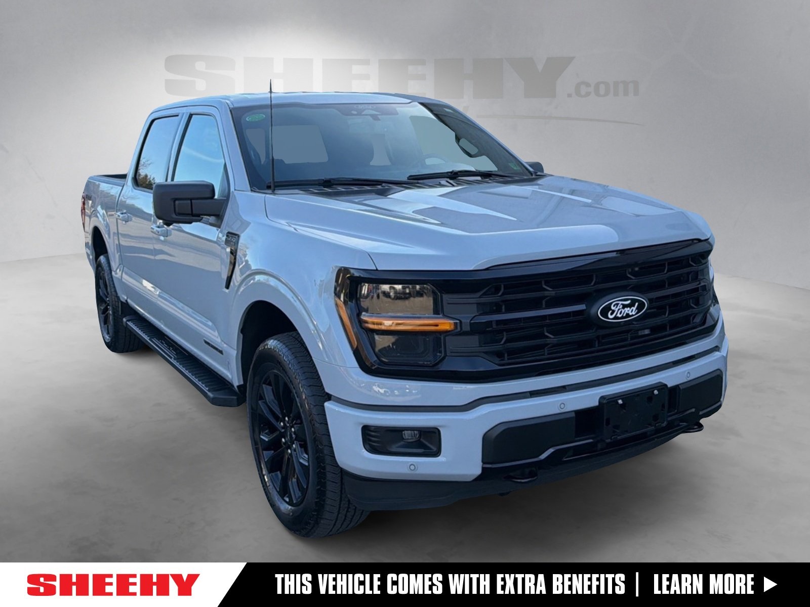 2024 Ford F-150 XLT's photo