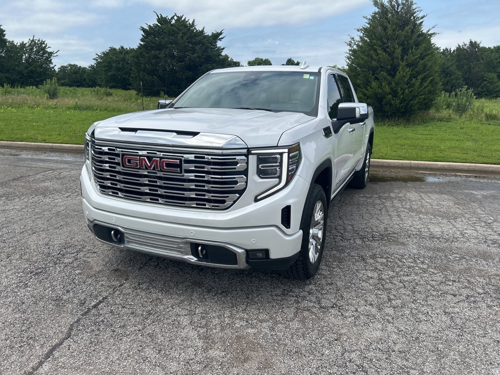 2023 Gmc Sierra 1500 Denali photo 2