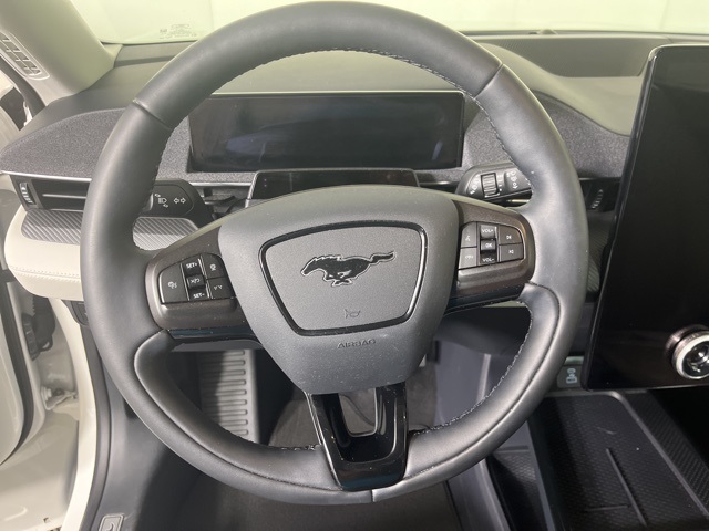 2021 Ford Mustang Mach-E Premium photo 15