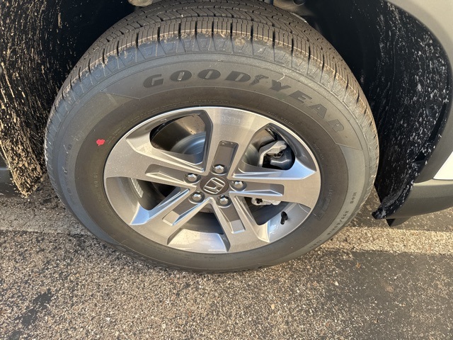 2025 Honda Pilot EX-L photo 2
