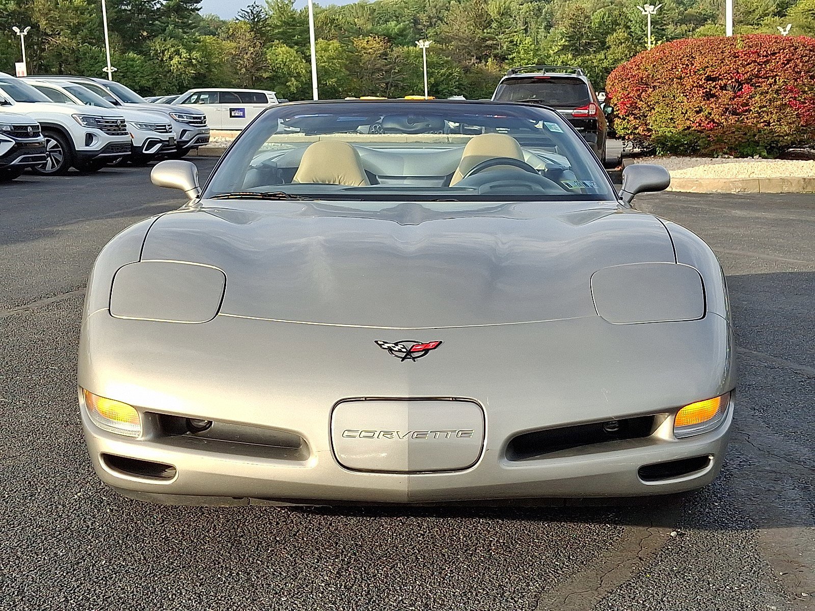 2002 Chevrolet Corvette Base photo 2