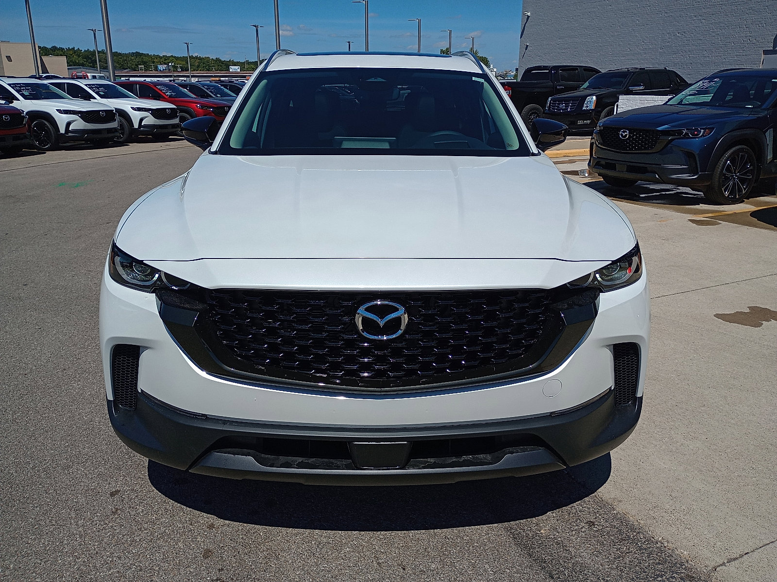 2025 Mazda CX-50 2.5 Premium Plus photo 3