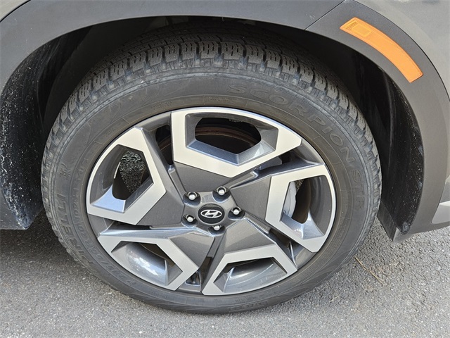2024 Hyundai Palisade Limited photo 19