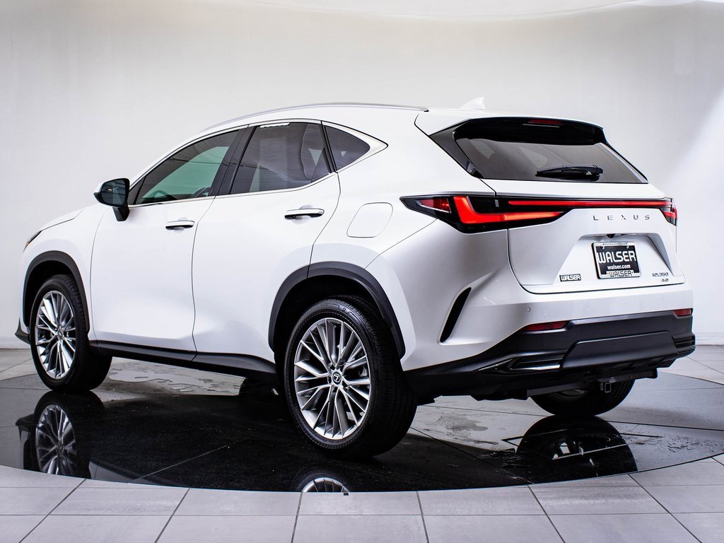 2024 Lexus NX 350 Luxury AWD photo 6