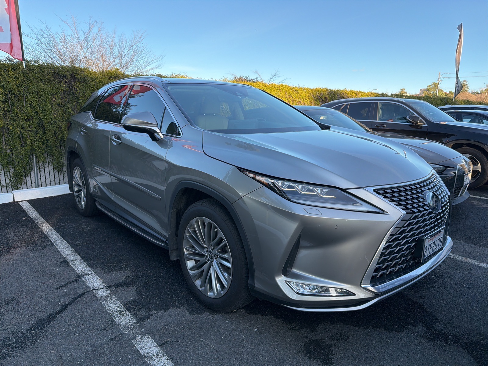 2022 Lexus RX Hybrid 450h's photo