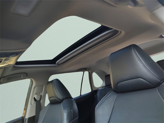 2019 Toyota RAV4 Limited photo 24