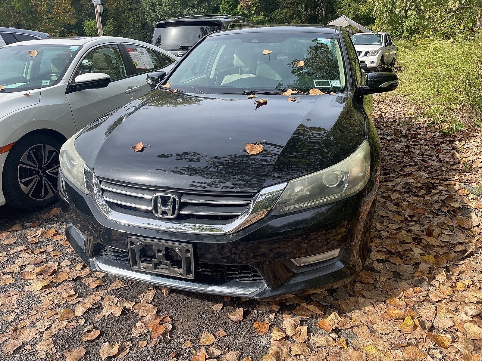 2013 Honda Accord