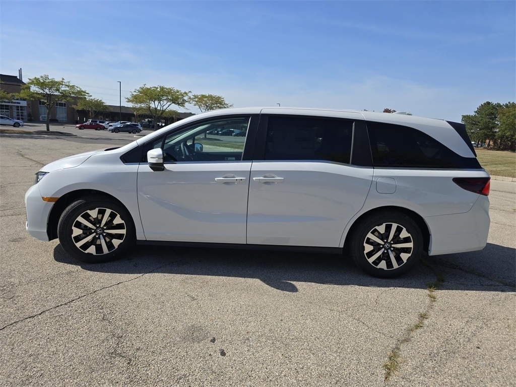 2026 Honda Odyssey EX-L photo 11