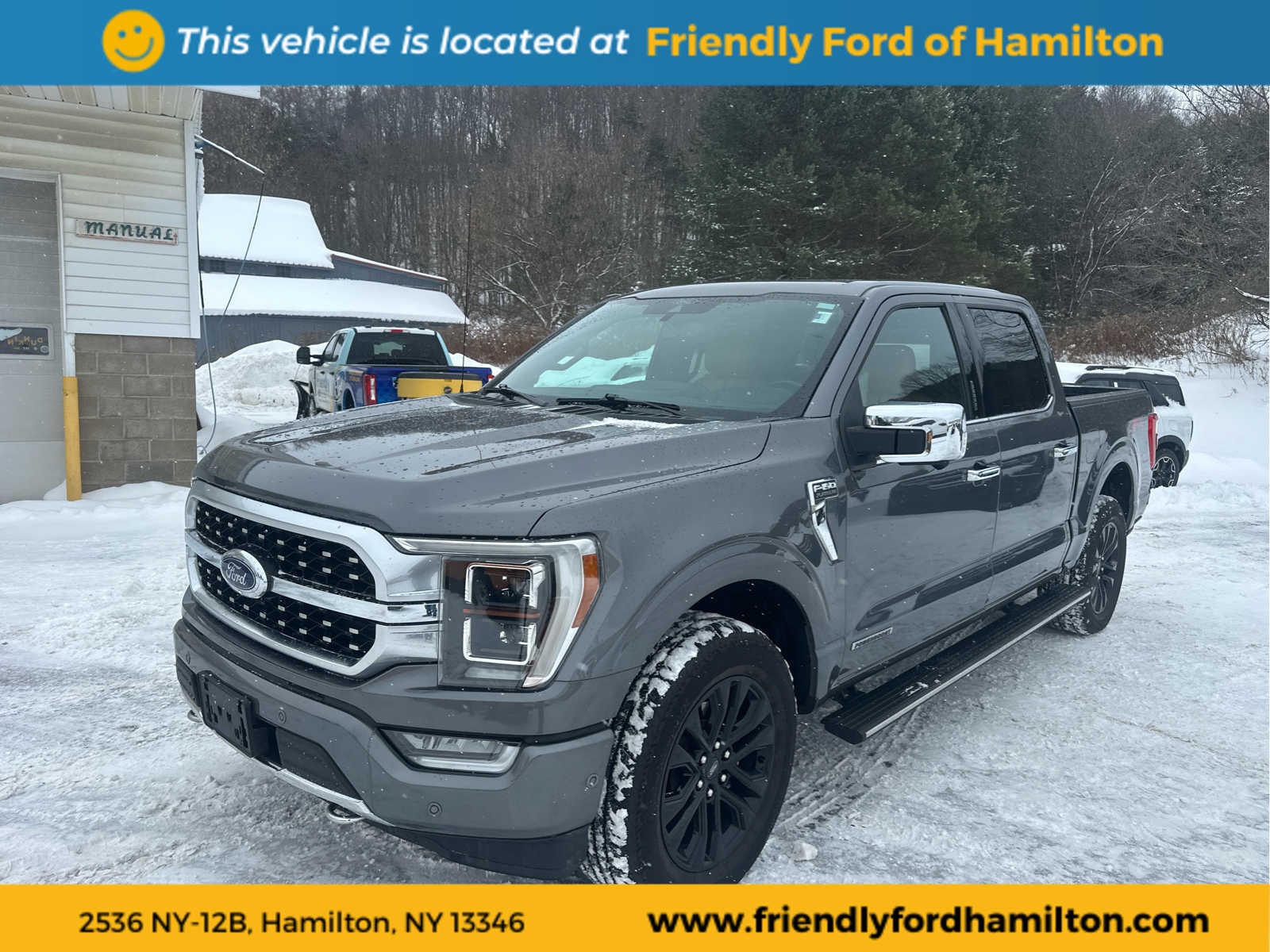 2021 Ford F-150 Platinum's photo