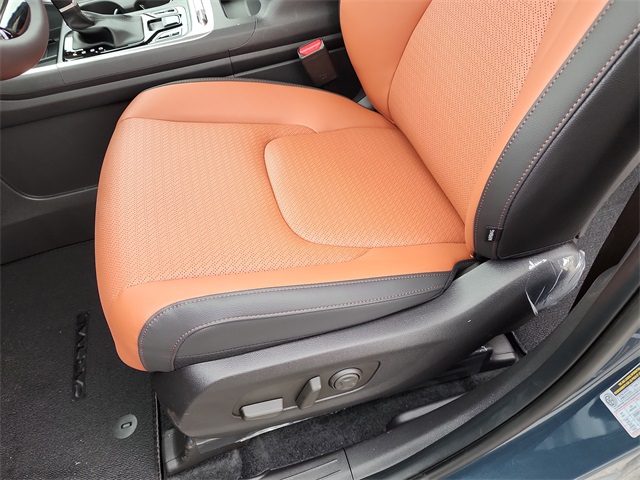 2026 Kia Carnival SX Prestige photo 11